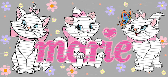 16oz Disney style-D-420